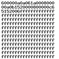 0281018506 1037519541